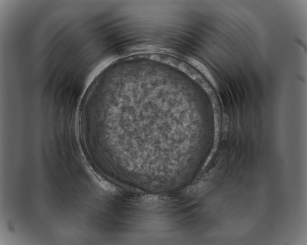 X0000091181098200709060949