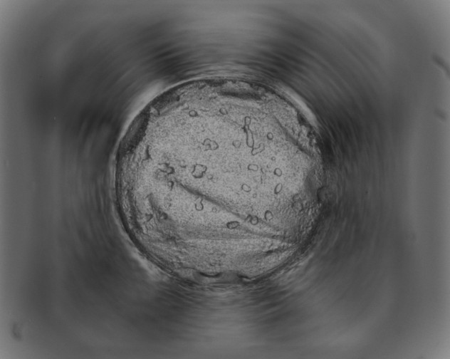 X0000091181099200709060949