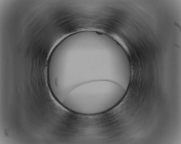 X0000091181100200709060949