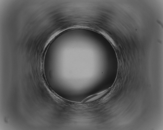 X0000091181101200709060949