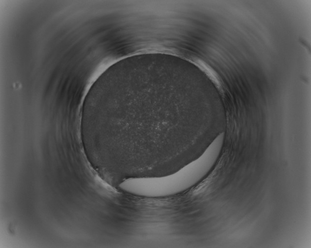 X0000091181102200709060949