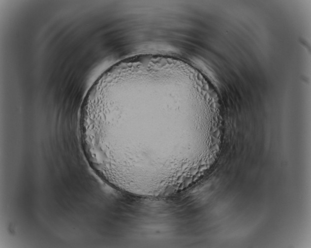 X0000091181103200709060949
