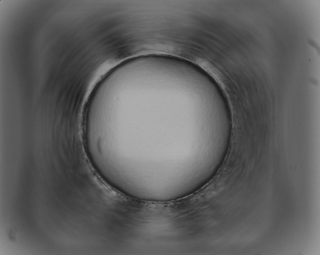 X0000091181104200709060949