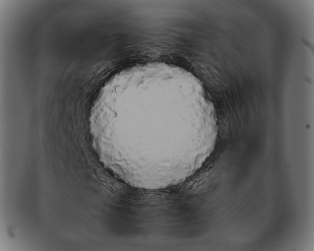 X0000091181105200709060948