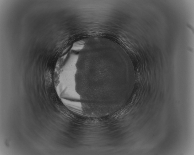 X0000091181106200709060948