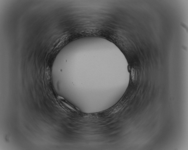 X0000091181107200709060948