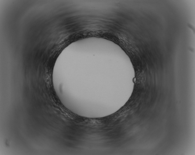 X0000091181109200709060948