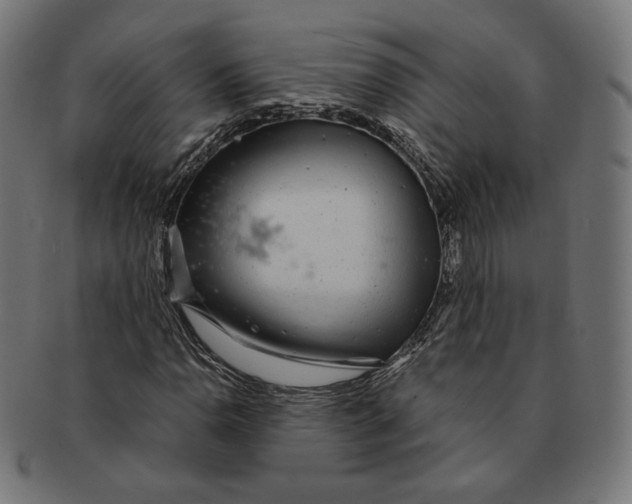 X0000091181110200709060948