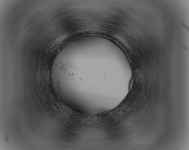 X0000091181111200709060948