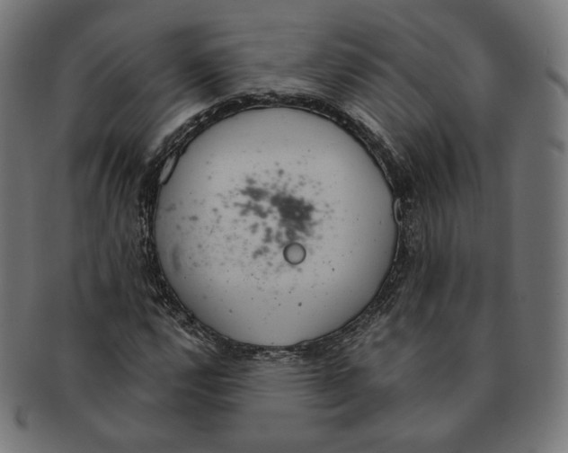 X0000091181112200709060948