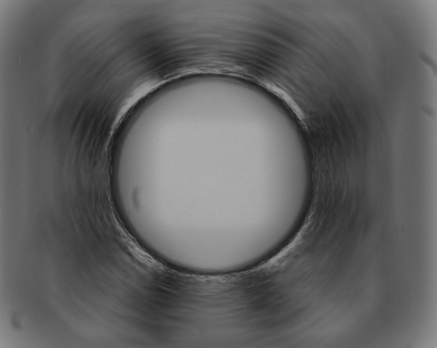 X0000091181114200709060948