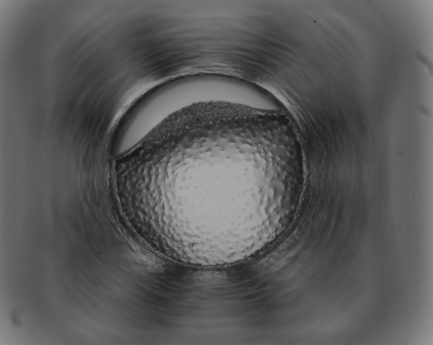 X0000091181115200709060948