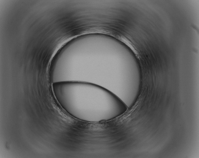 X0000091181116200709060948
