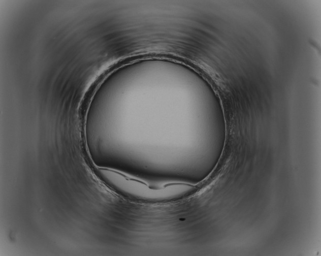X0000091181118200709060948