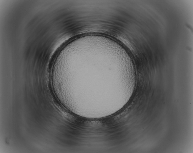 X0000091181119200709060948