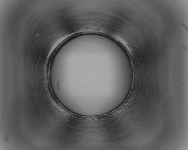 X0000091181120200709060948
