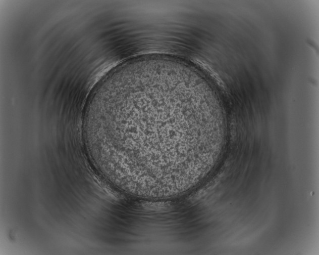 X0000091181121200709060948