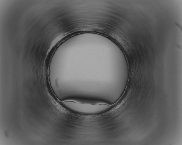 X0000091181122200709060948
