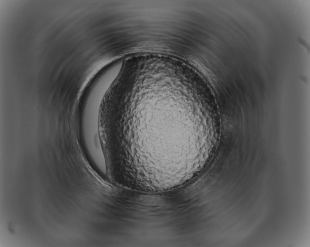 X0000091181123200709060948