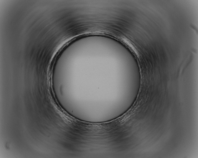 X0000091181124200709060948