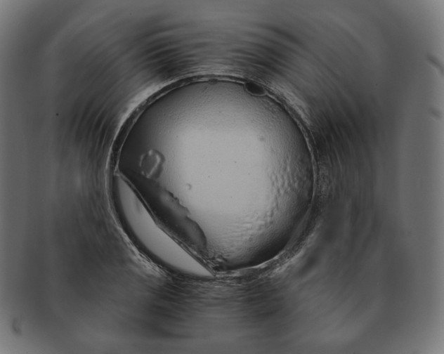 X0000091181125200709060948