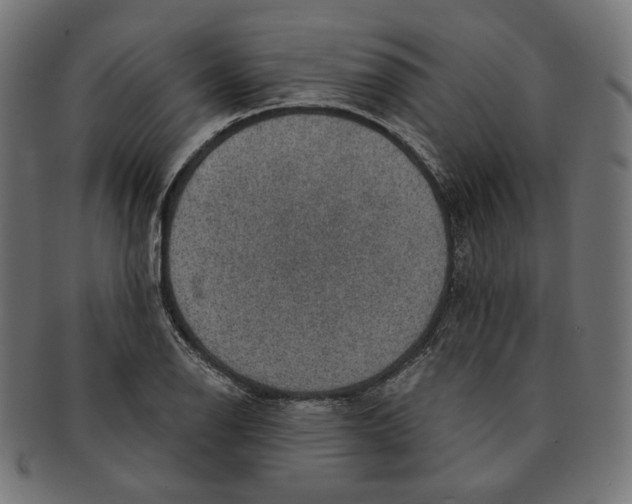 X0000091181126200709060948