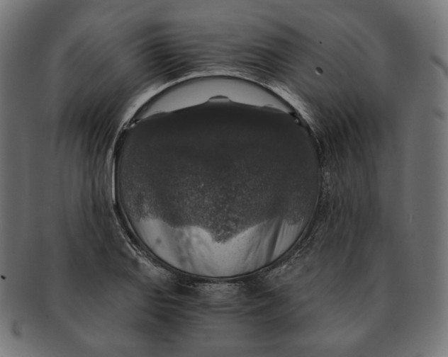 X0000091181127200709060948