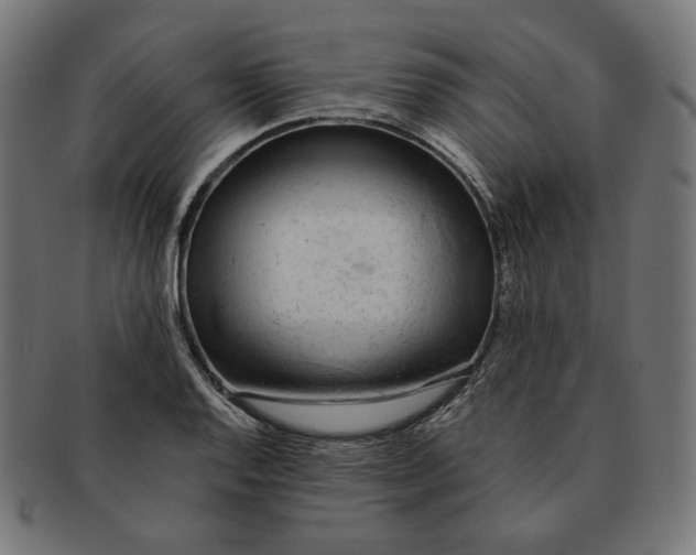 X0000091181128200709060948