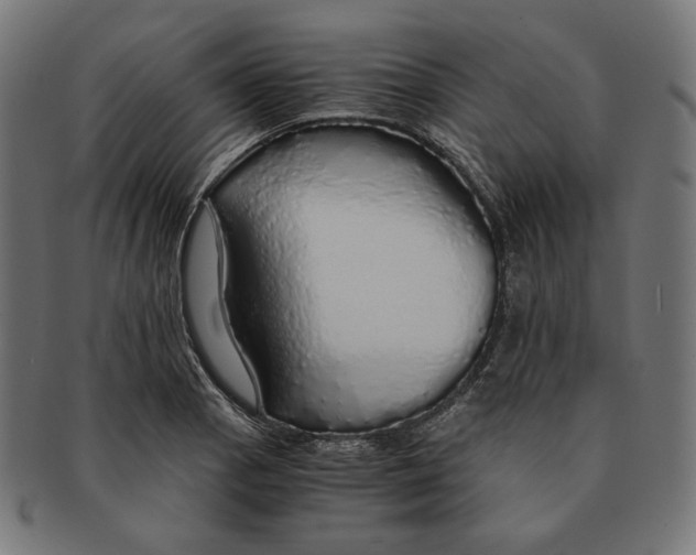 X0000091181129200709060948