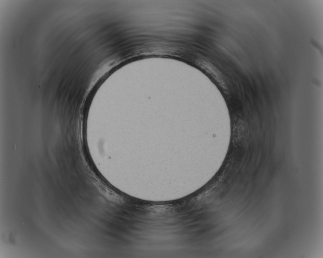 X0000091181130200709060948