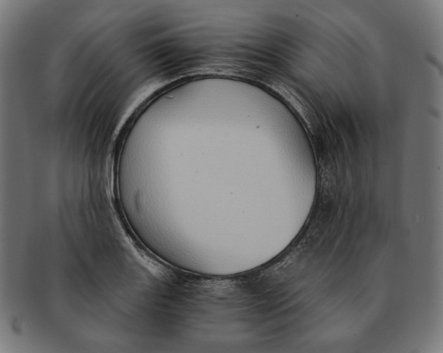 X0000091181131200709060949
