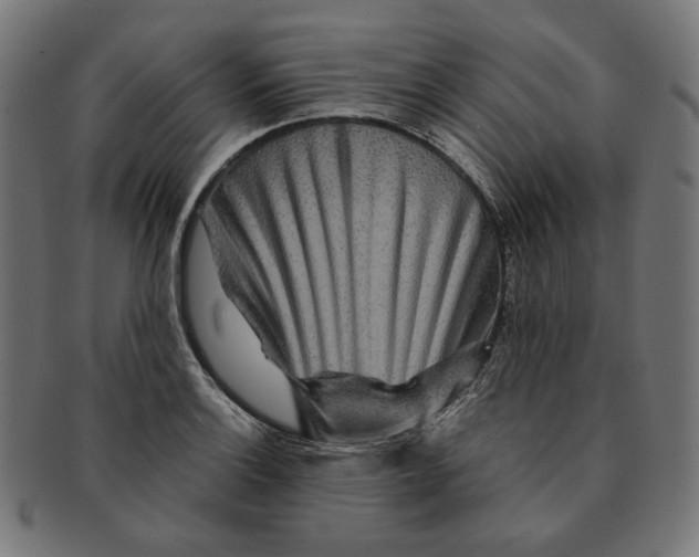 X0000091181132200709060949