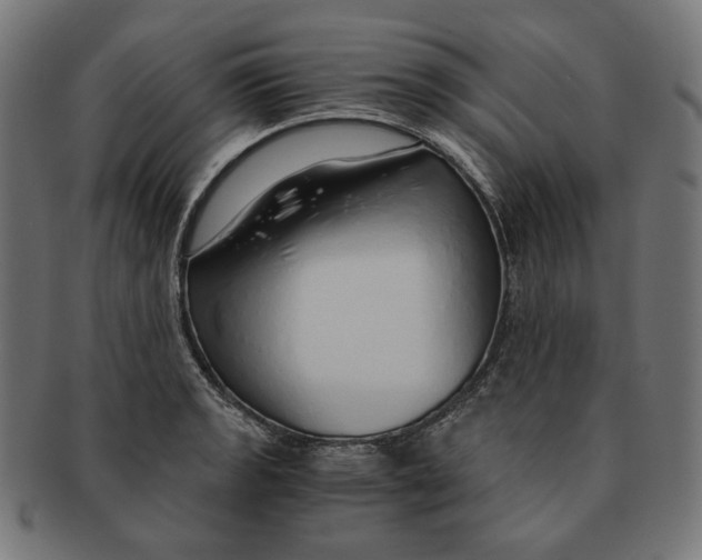 X0000091181133200709060949