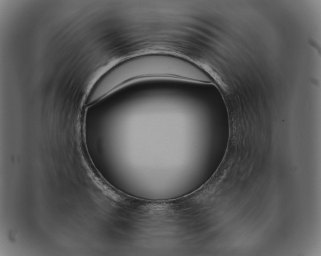X0000091181134200709060949