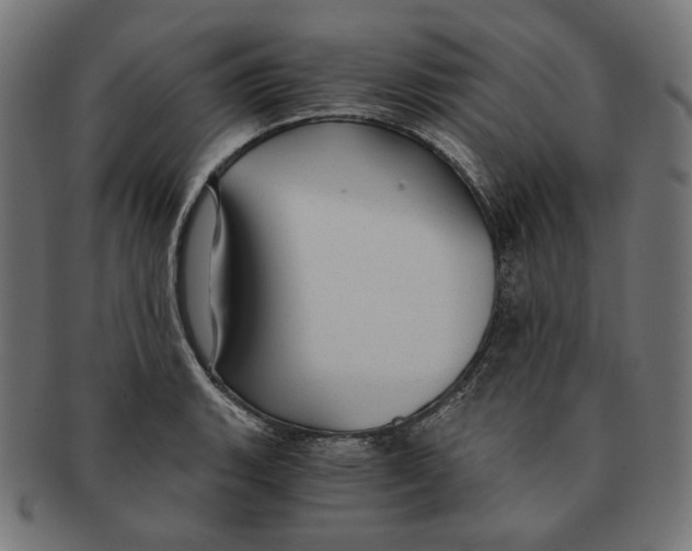 X0000091181135200709060949