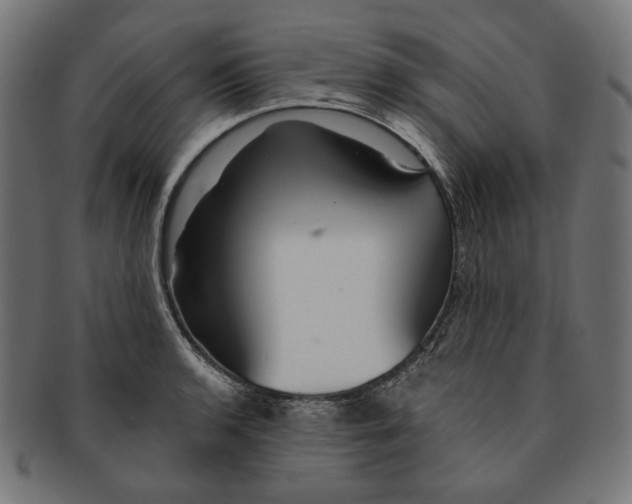 X0000091181136200709060949
