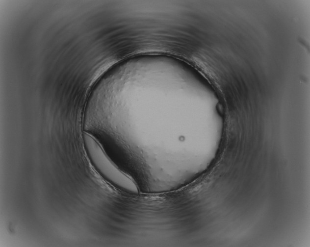 X0000091181137200709060949