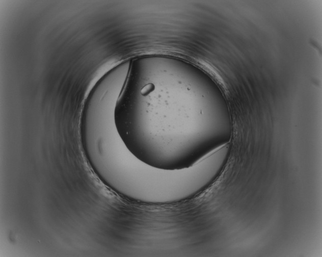 X0000091181138200709060949