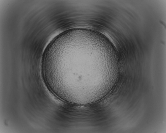X0000091181139200709060949