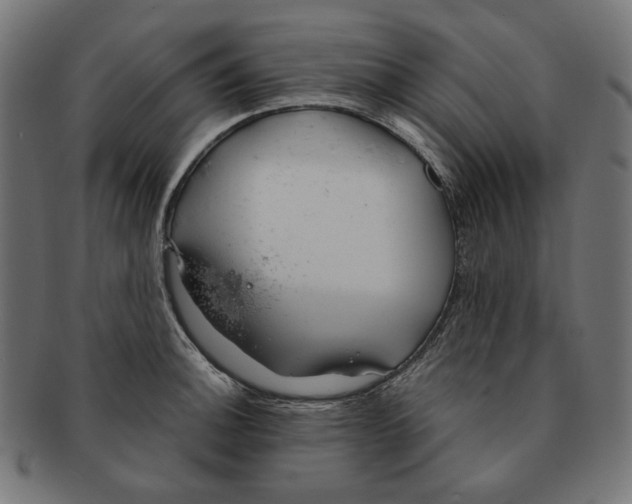 X0000091181140200709060949
