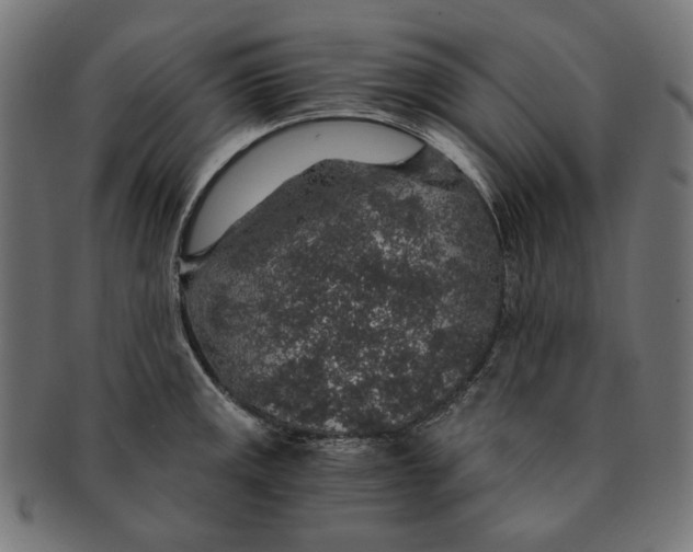 X0000091181141200709060949