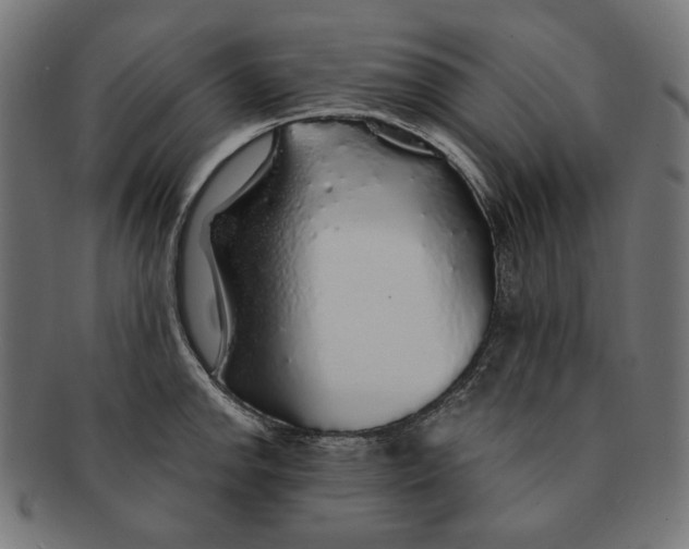 X0000091181142200709060949