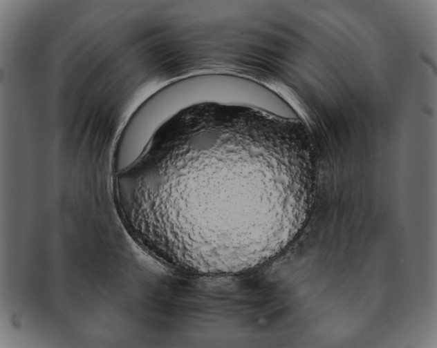 X0000091181143200709060949