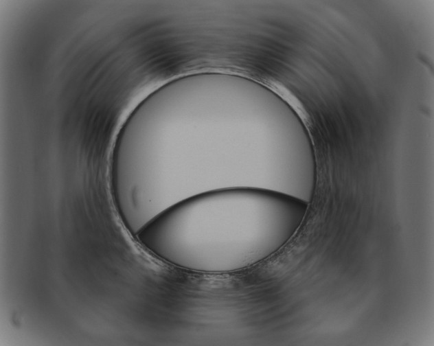X0000091181144200709060949
