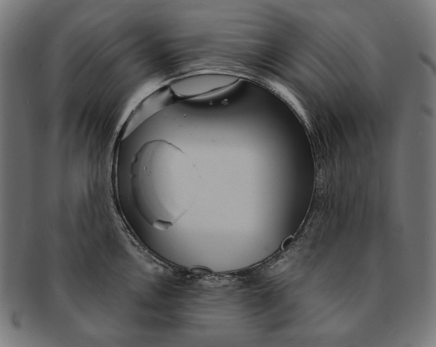 X0000091181146200709060949