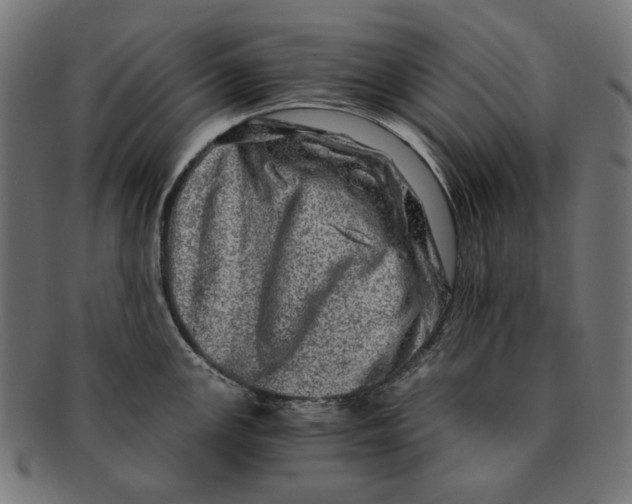 X0000091181147200709060949