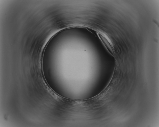 X0000091181148200709060949