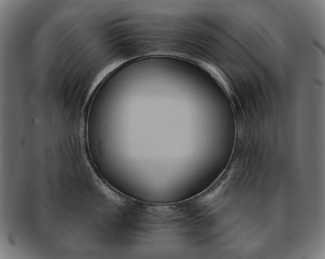 X0000091181149200709060949