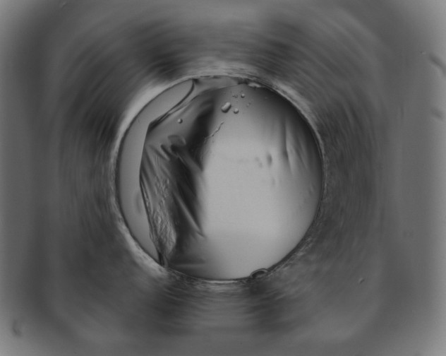 X0000091181152200709060949