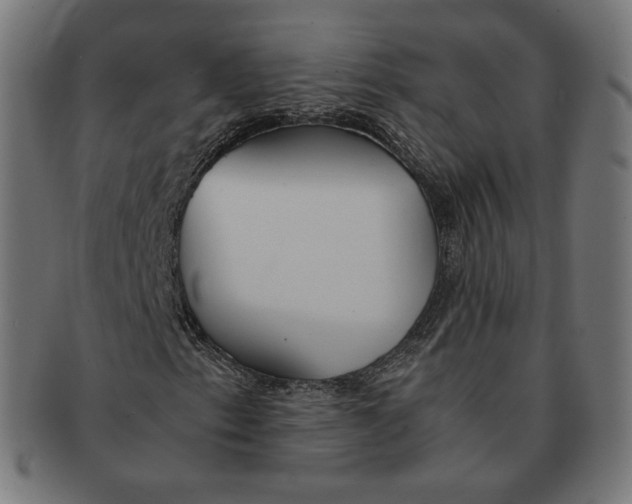 X0000091181153200709060948